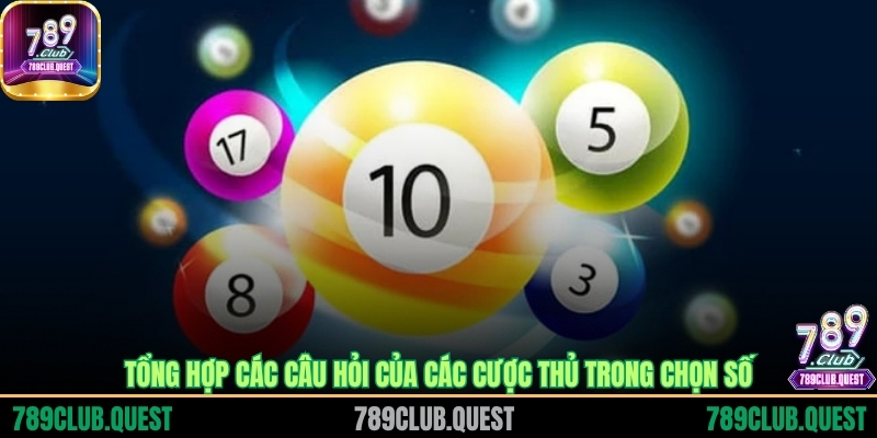 Tổng hợp các câu hỏi của các cược thủ trong chọn số